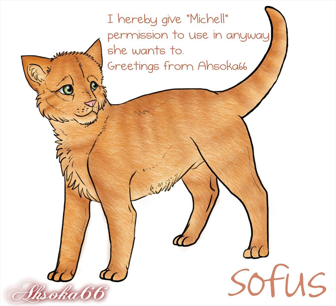 tegning af sofus (min kat) billede 1