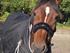 Kandy min lille hypper!<3