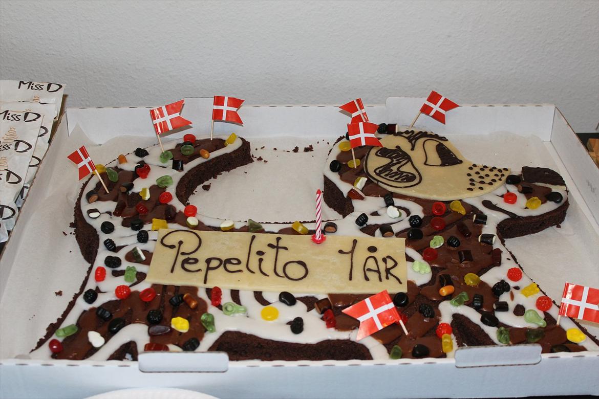 Min 1 års fødselsdag:-) - Min fødselsdagskage til min gæster:-) billede 1