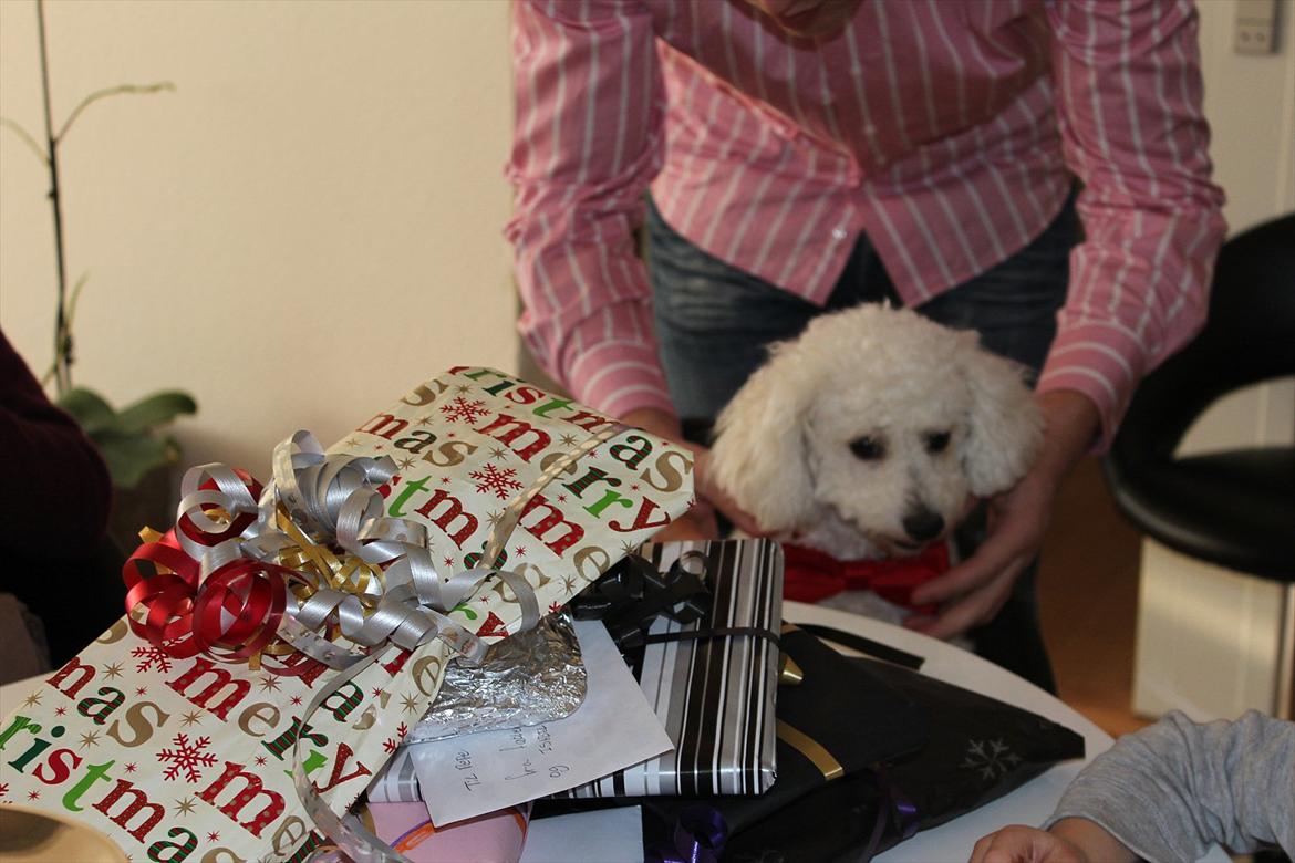 Min 1 års fødselsdag:-) - Far giv mig min butterfly på! billede 4