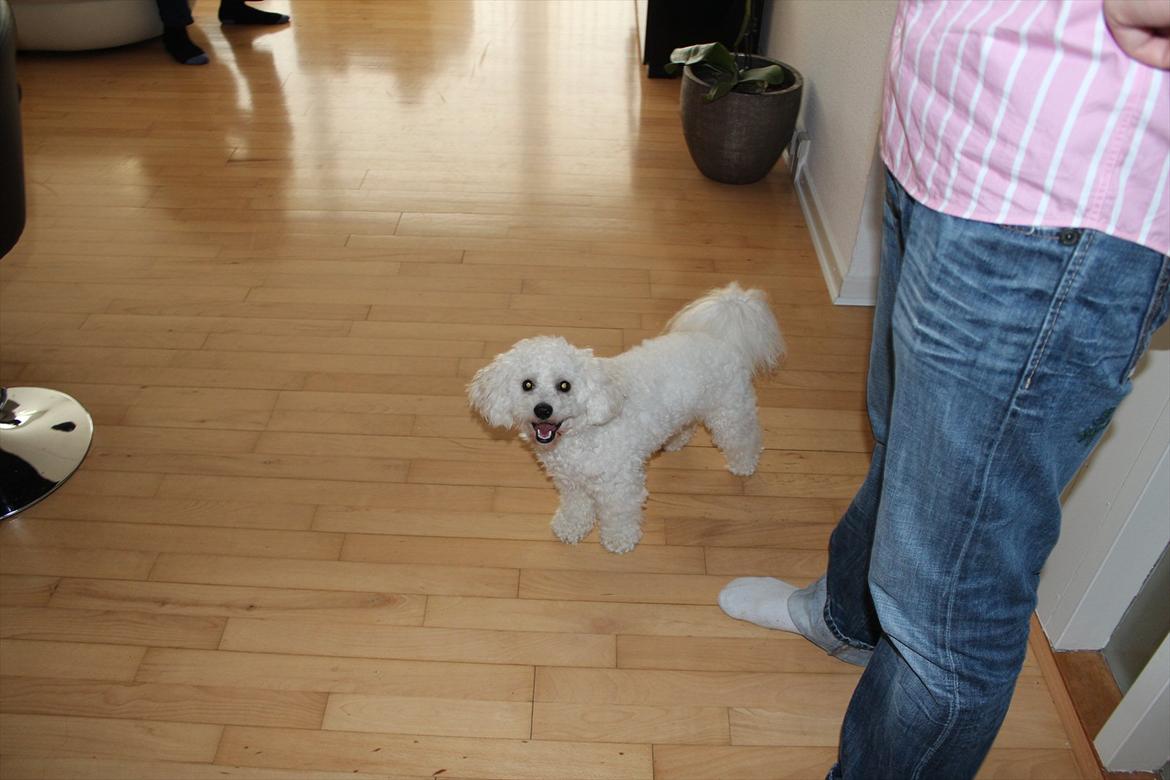 Min 1 års fødselsdag:-) - Hva sååå... billede 10