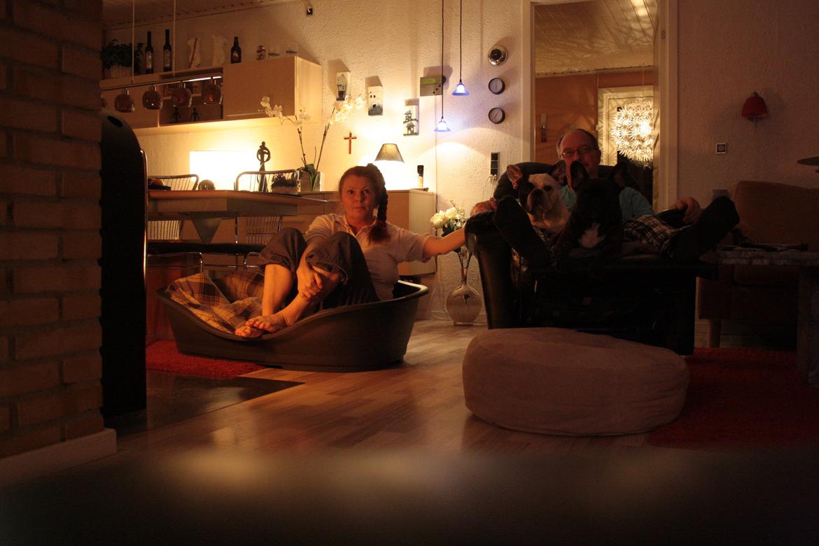 Diverse fjollerier - billede 47