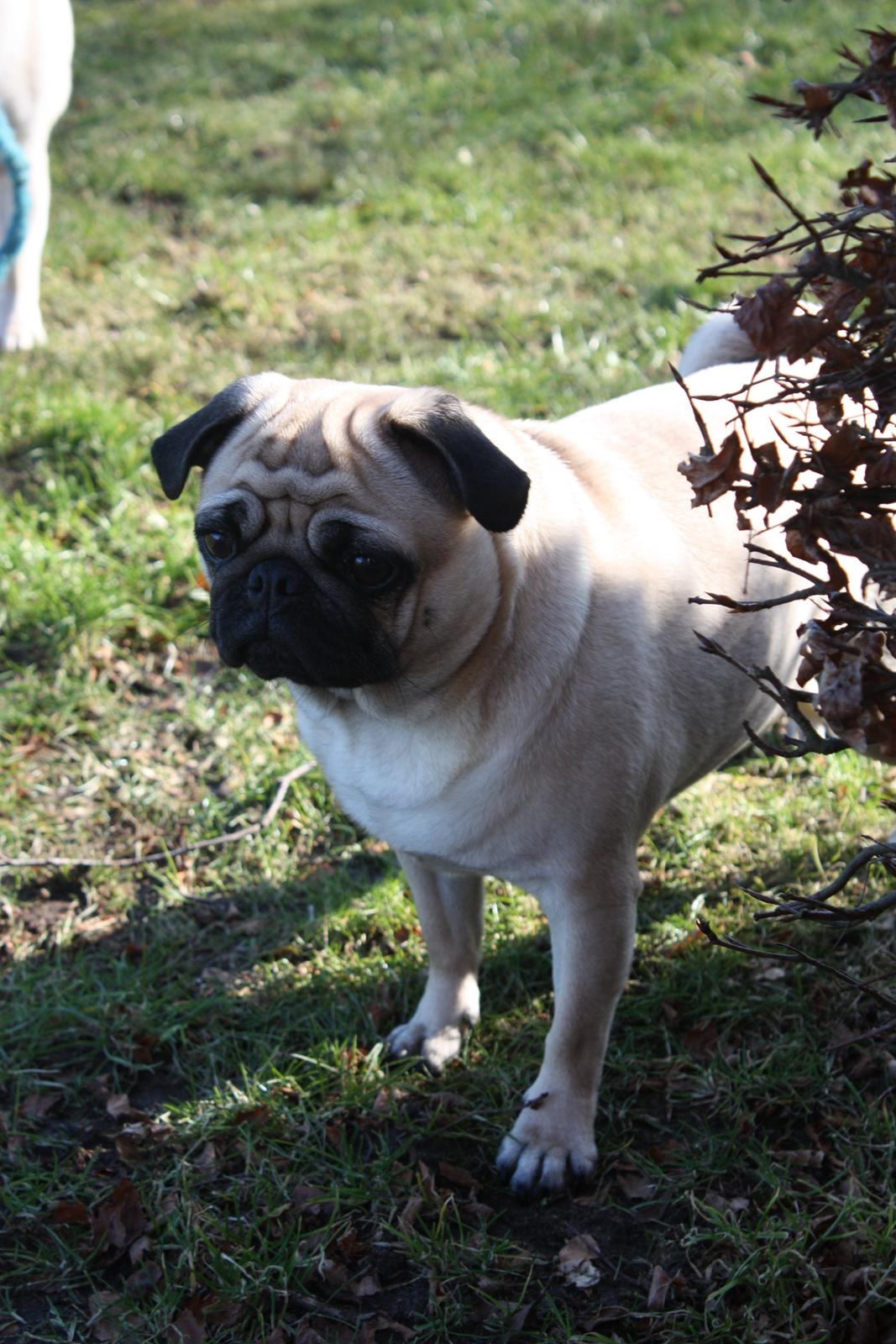 Alma 1 års fødselsdag. - Agnes :) billede 10