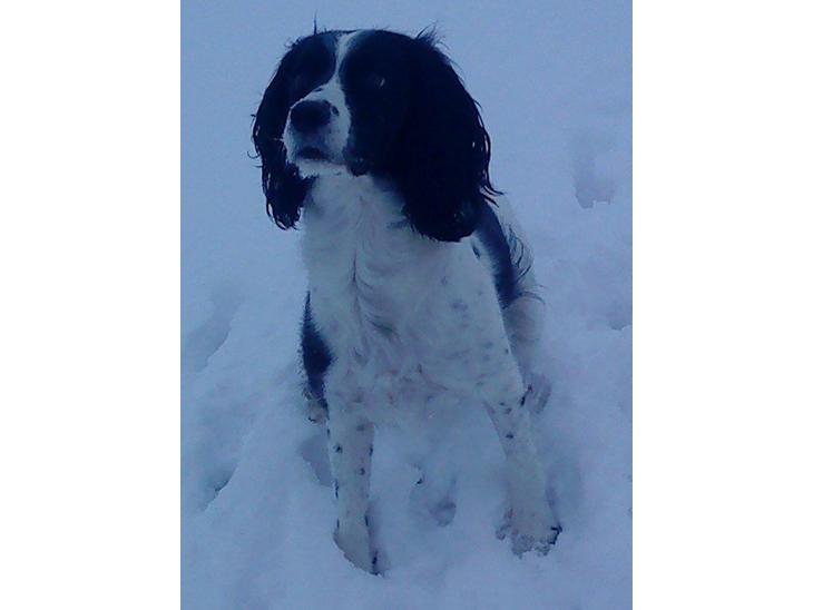 {{currentPhoto.altText}} billede {{currentPhoto.number}}