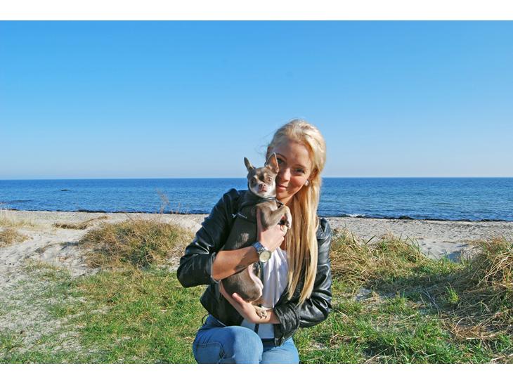 {{currentPhoto.altText}} billede {{currentPhoto.number}}