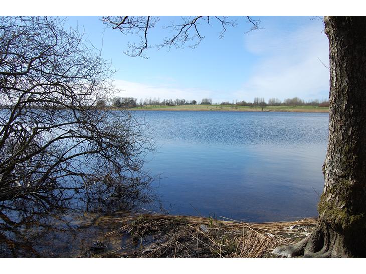 {{currentPhoto.altText}} billede {{currentPhoto.number}}