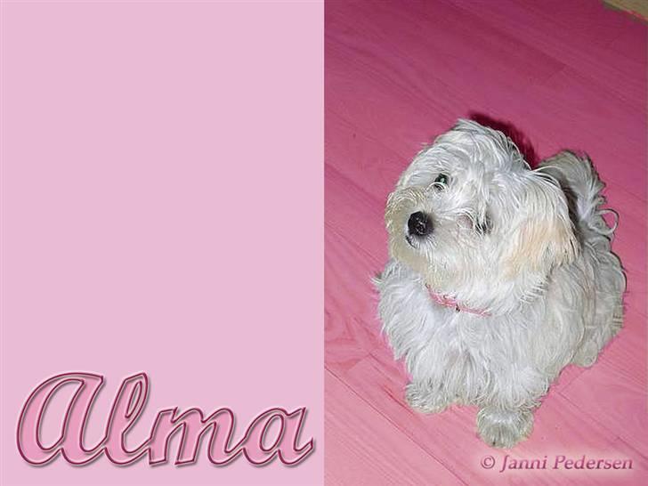 Enkle og søde wallpapers - Alma billede 3