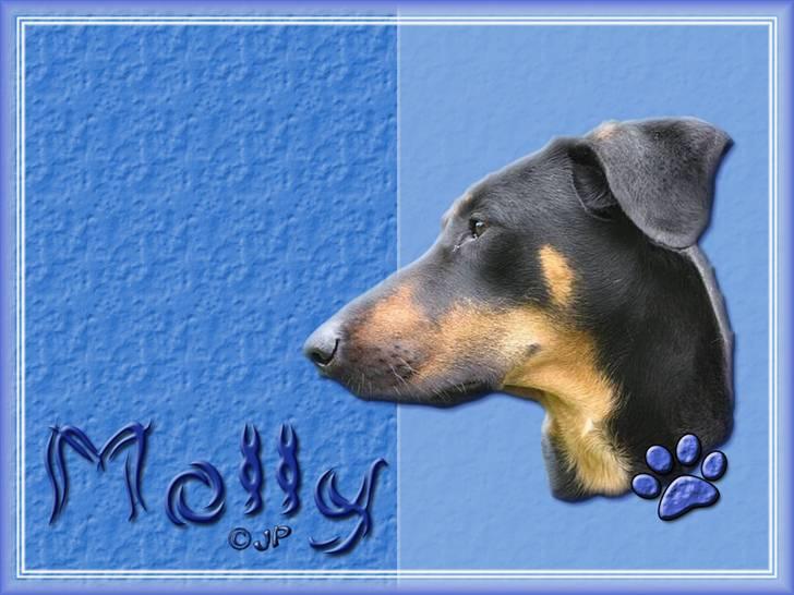 Enkle og søde wallpapers - Molly billede 4