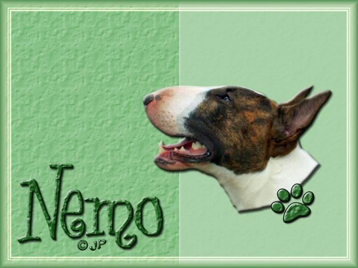 Enkle og søde wallpapers - Nemo billede 5