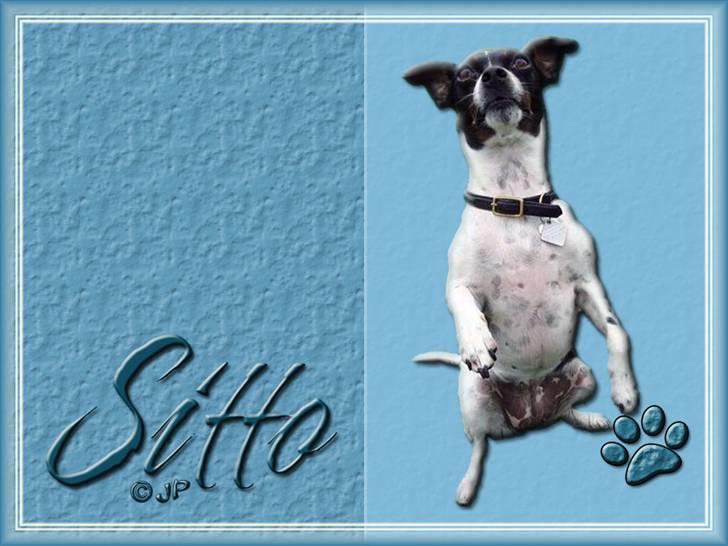 Enkle og søde wallpapers - Sitto billede 6