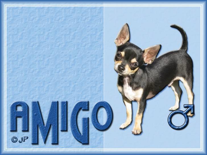 Enkle og søde wallpapers - Amigo billede 7