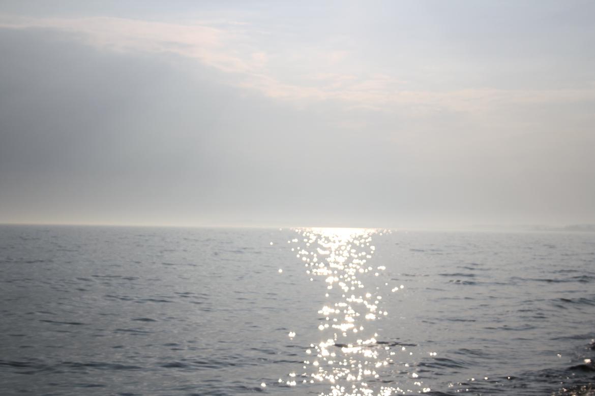 På Bjørnebæk strand med min Angel billede 4