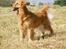 LEONGOLDEN CHA CHA CHA