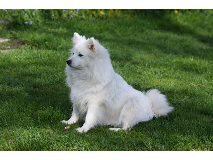 {{currentPhoto.altText}} billede {{currentPhoto.number}}