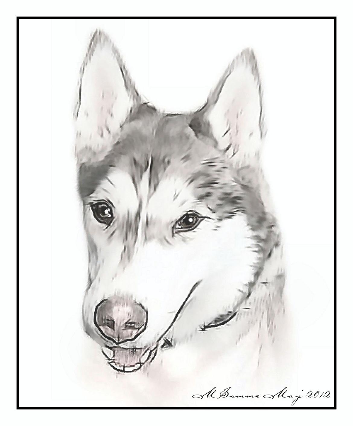 En streg kan bruges til meget :O) billede 34