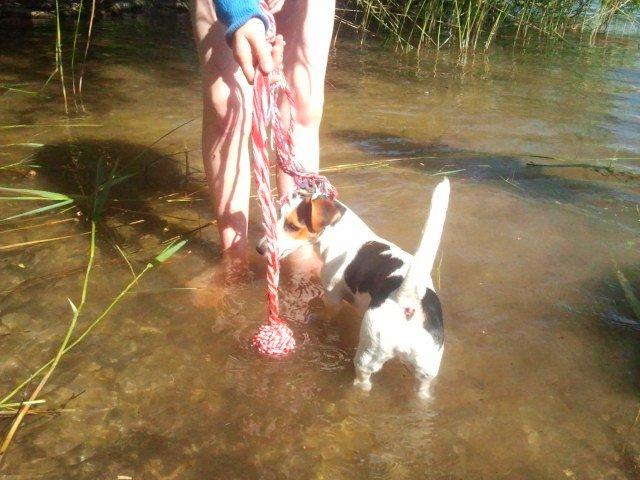 I sommerhus med Lucky i Buresø!<3 billede 12