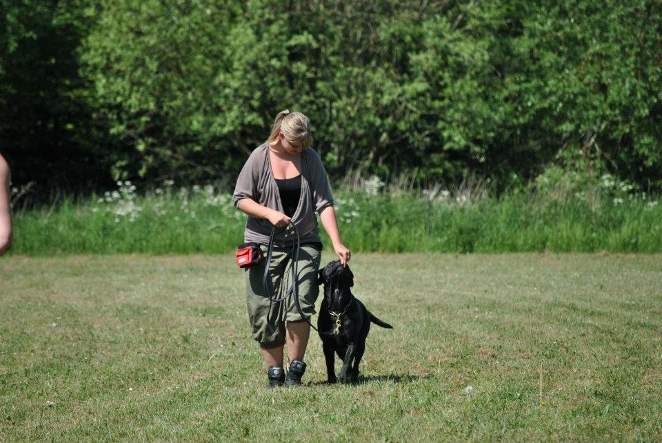 Billeder fra hundetræning <3  billede 2