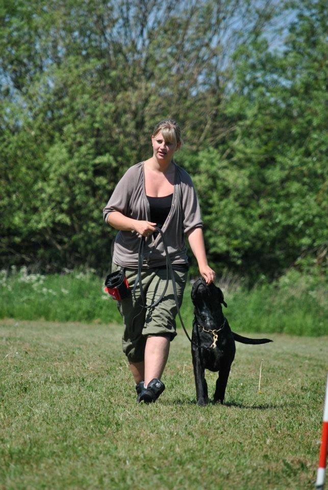 Billeder fra hundetræning <3  billede 9