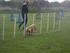 Agility træning
