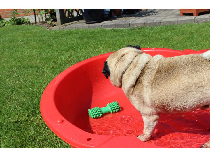 {{currentPhoto.altText}} billede {{currentPhoto.number}}