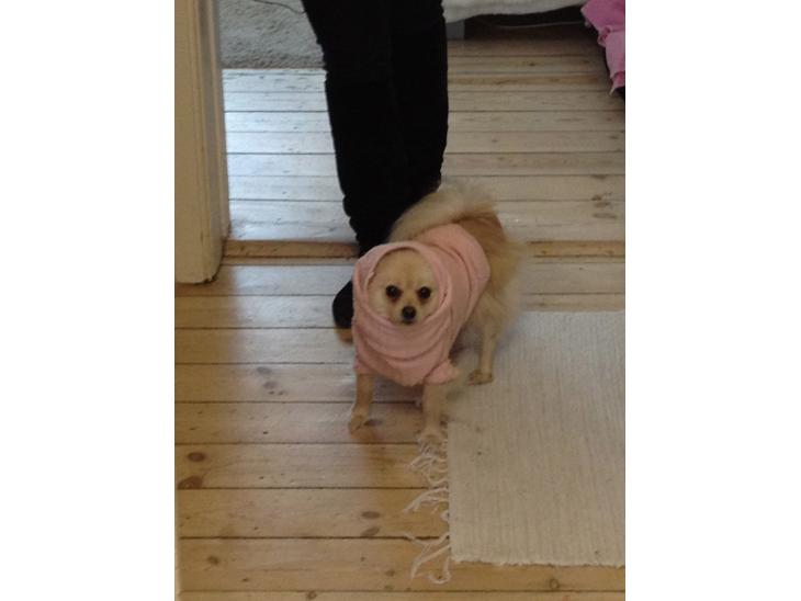 {{currentPhoto.altText}} billede {{currentPhoto.number}}