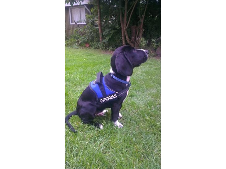 {{currentPhoto.altText}} billede {{currentPhoto.number}}