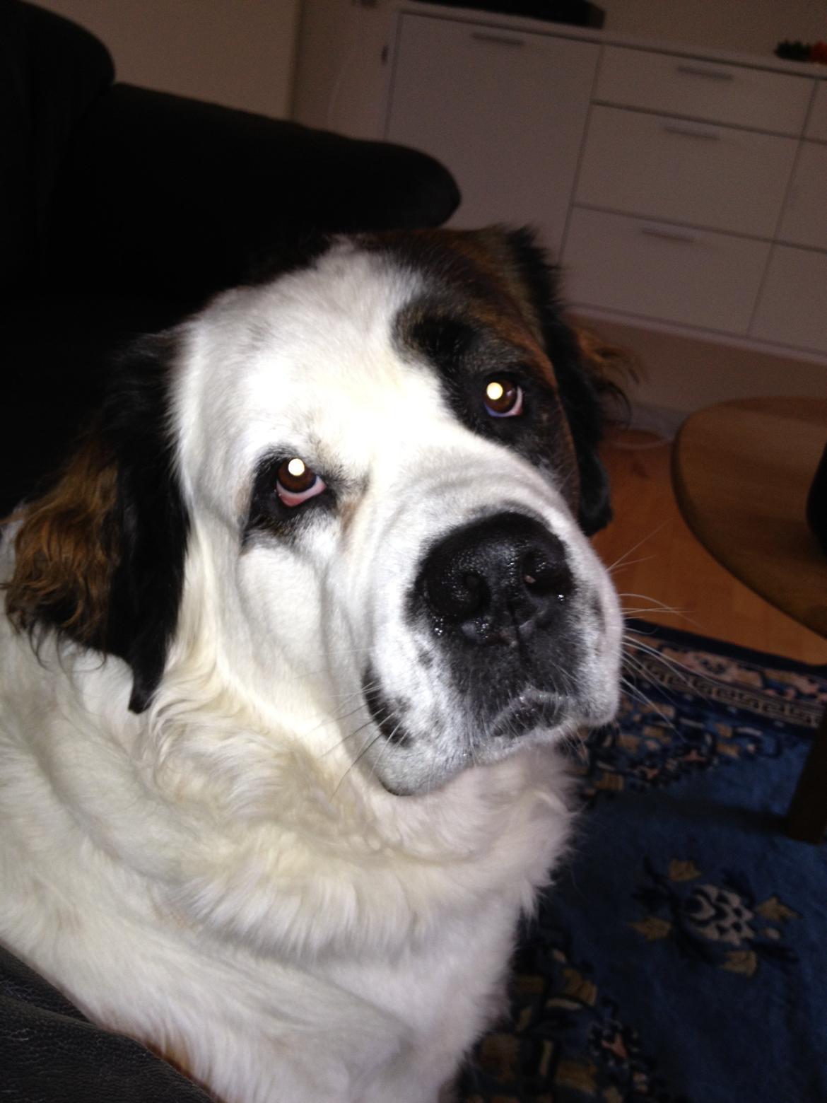 Nye billeder af Odin billede 5