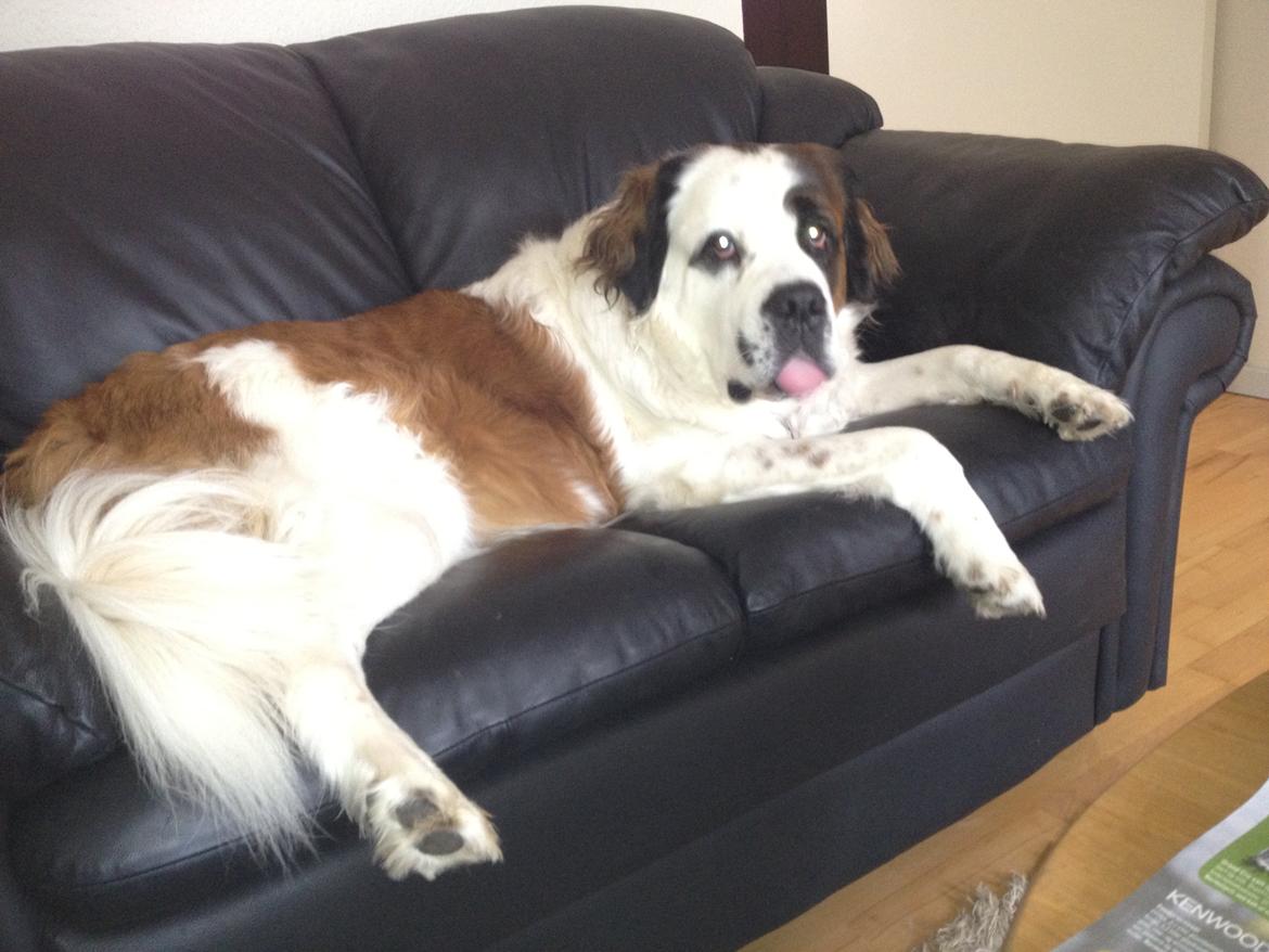 Nye billeder af Odin billede 6