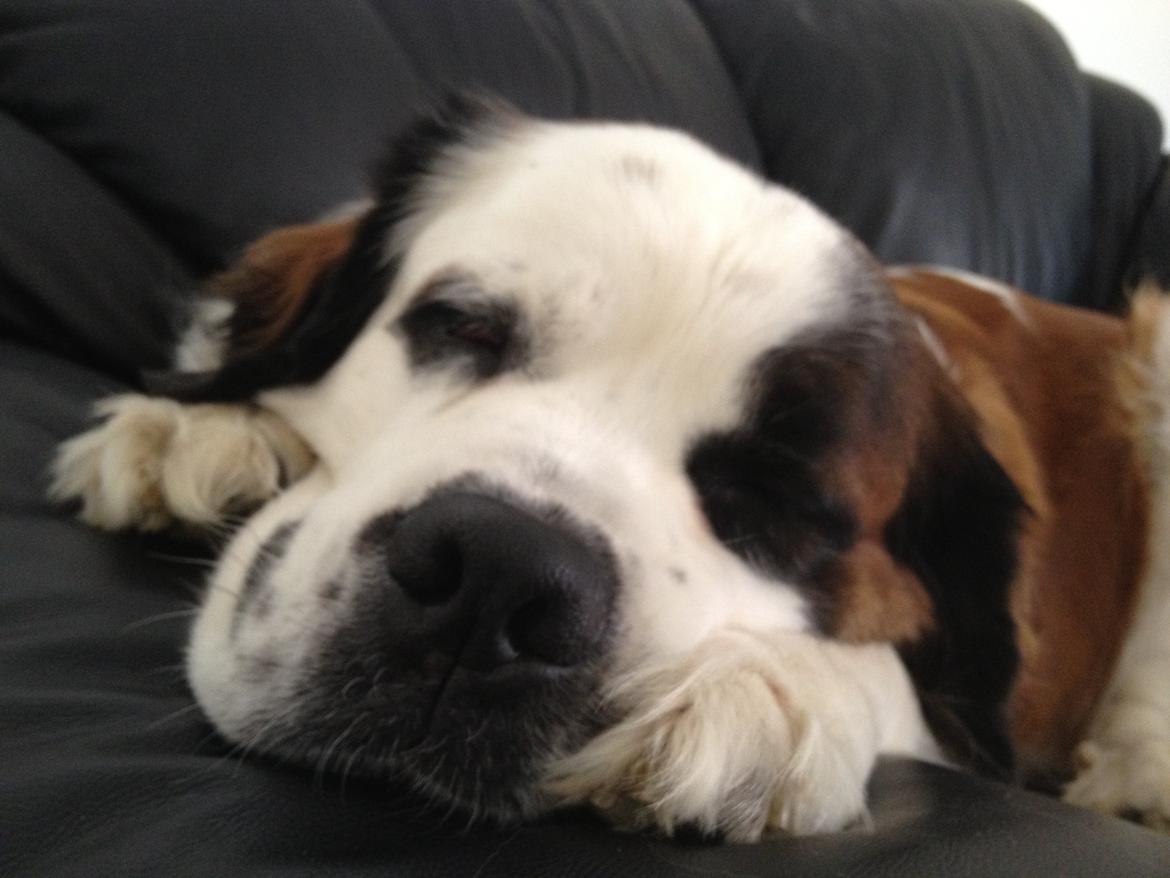 Nye billeder af Odin billede 8