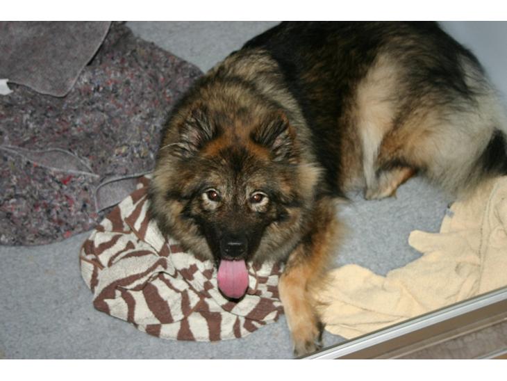 {{currentPhoto.altText}} billede {{currentPhoto.number}}