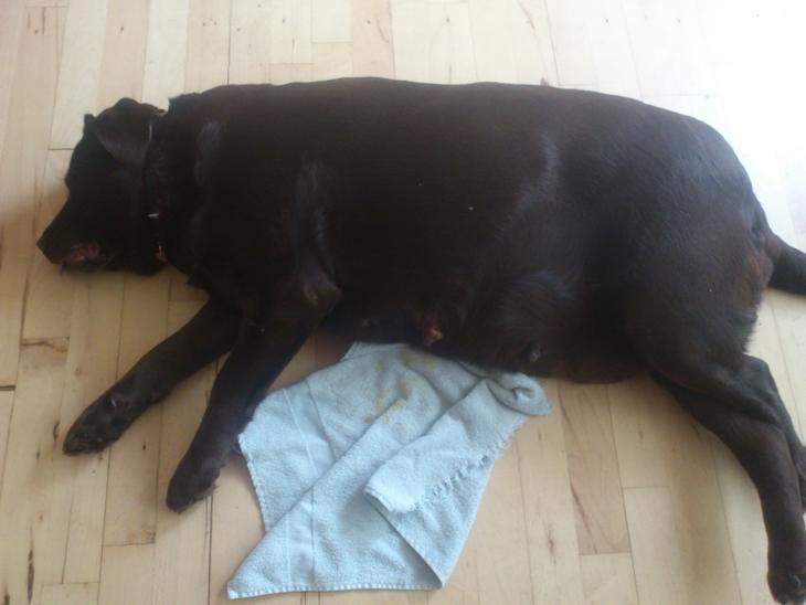 {{currentPhoto.altText}} billede {{currentPhoto.number}}