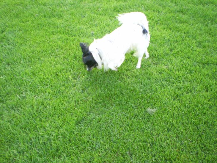 {{currentPhoto.altText}} billede {{currentPhoto.number}}