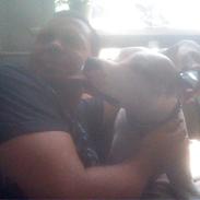 Vores Amstaff som åbenbart ikke kan oprettes herinde :(