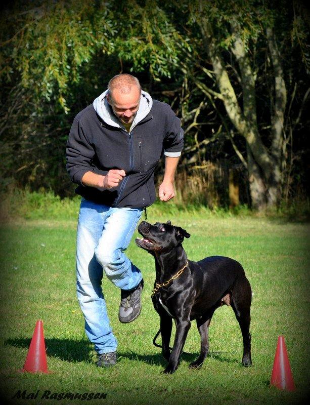 Billeder fra hundetræning <3  - Min hundetræner med min hund billede 15