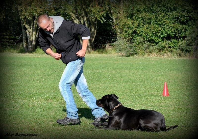 Billeder fra hundetræning <3  - Min hundetræner med min hund billede 17