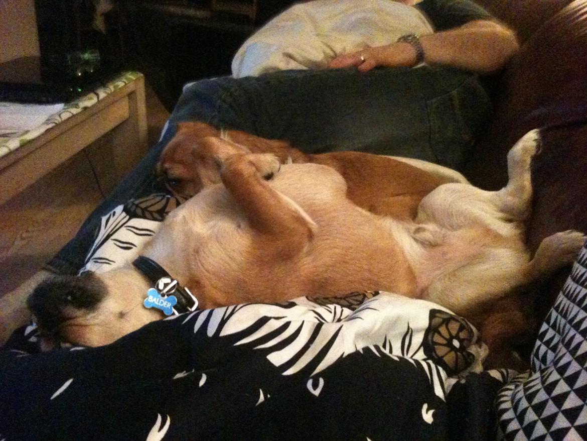 Blandet billder  billede 9