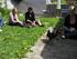 Hunde traf horsens maj 2007