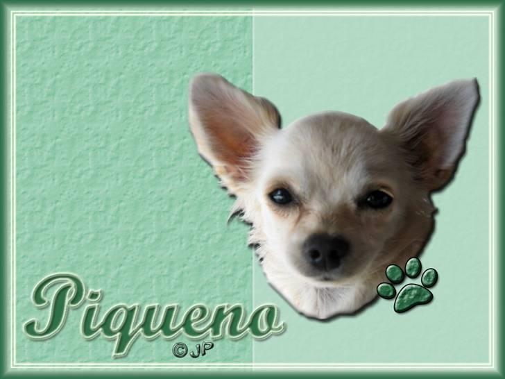 Enkle og søde wallpapers - Pequeno billede 8