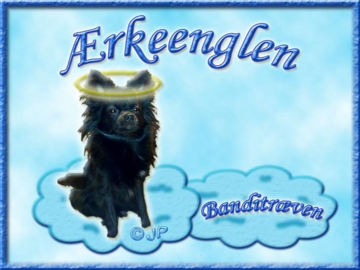 Andres hunde 1 - Engle - Ærkeenglen "Den sorte Banditræv" billede 18