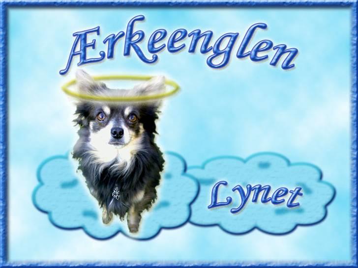 Andres hunde 1 - Engle - Ærkeenglen "Det blå Lyn" billede 19