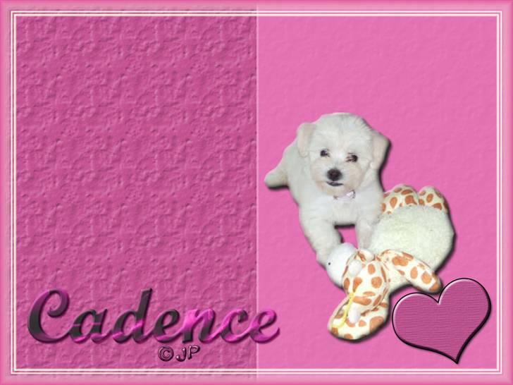 Enkle og søde wallpapers billede 11