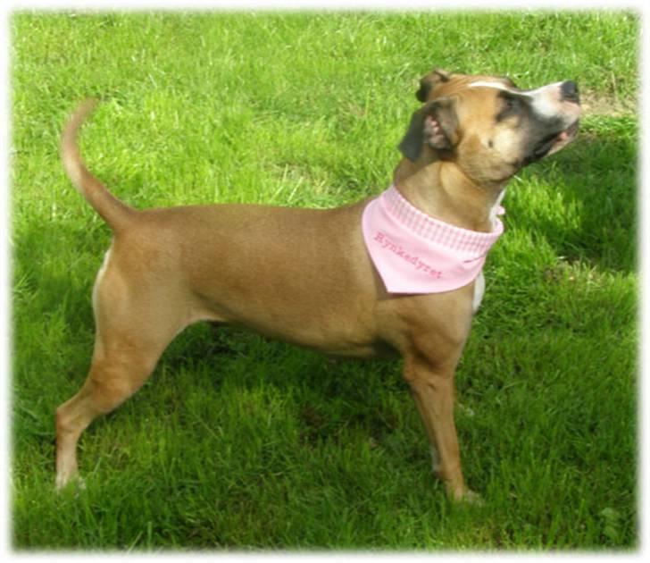 Rynke Dyret nu med Charmeklud - Min mormor står med en bold, er helt vild klar :) billede 5