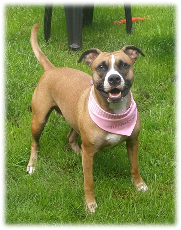 Rynke Dyret nu med Charmeklud - Så finder jeg bare på noget andet... billede 8