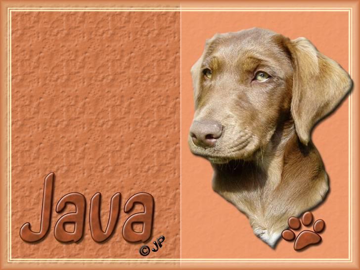 Enkle og søde wallpapers - Java :-) billede 12