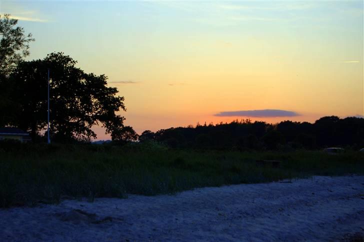 Billeder jeg er stolt af - Ved sommerhuset billede 4