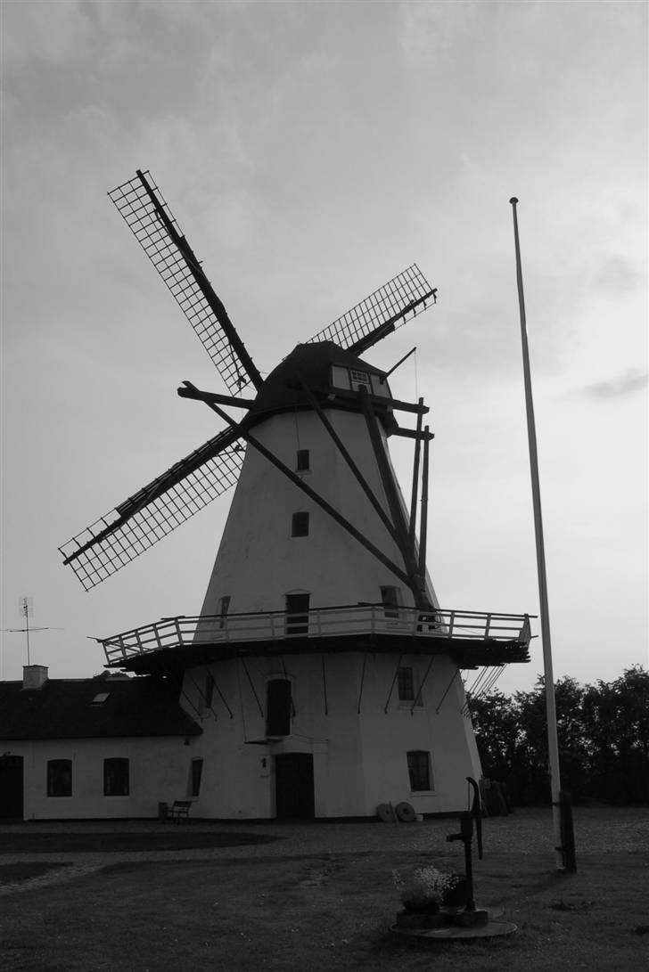 Billeder jeg er stolt af - Sillerup Mølle billede 17