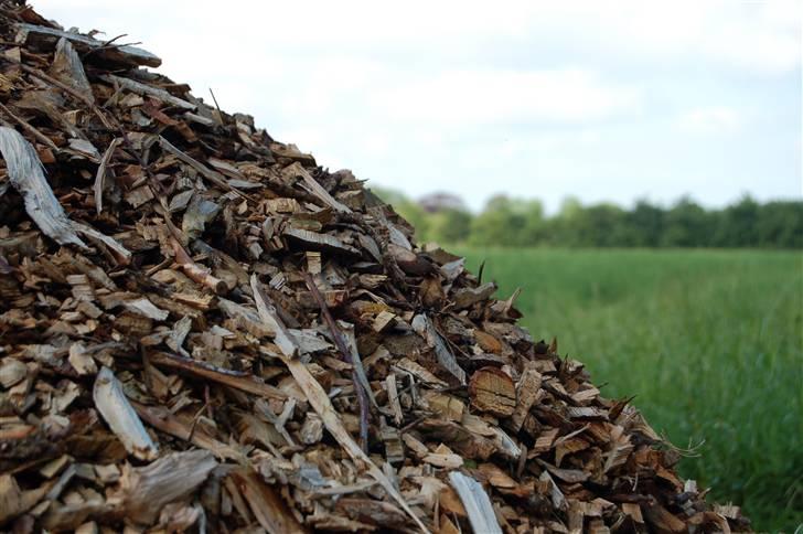 Billeder jeg er stolt af - Natur billede 27