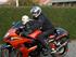 Biker hunden Xigo