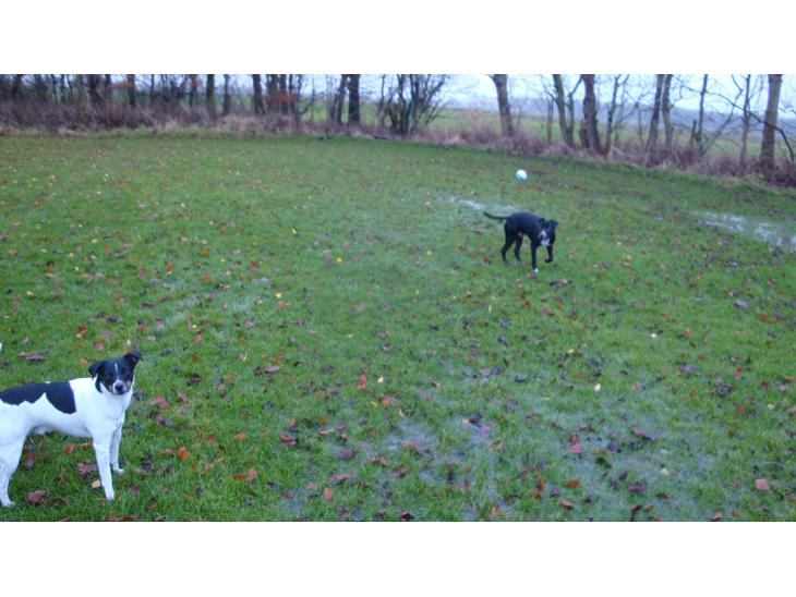 {{currentPhoto.altText}} billede {{currentPhoto.number}}