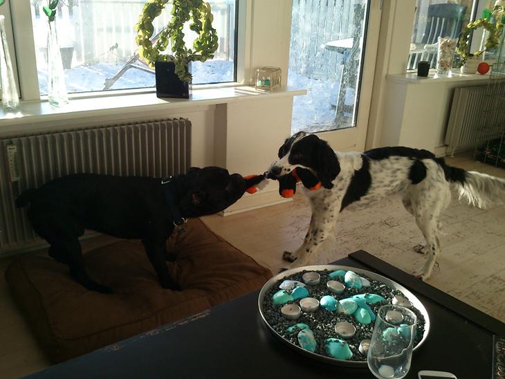 {{currentPhoto.altText}} billede {{currentPhoto.number}}